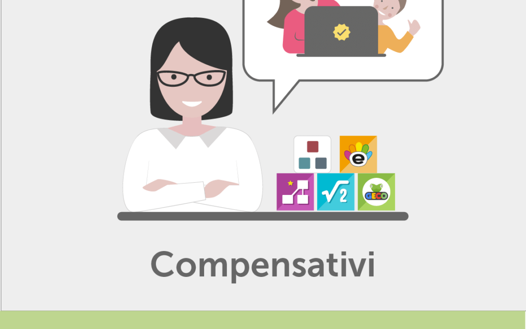 Consulenza post vendita software compensativi