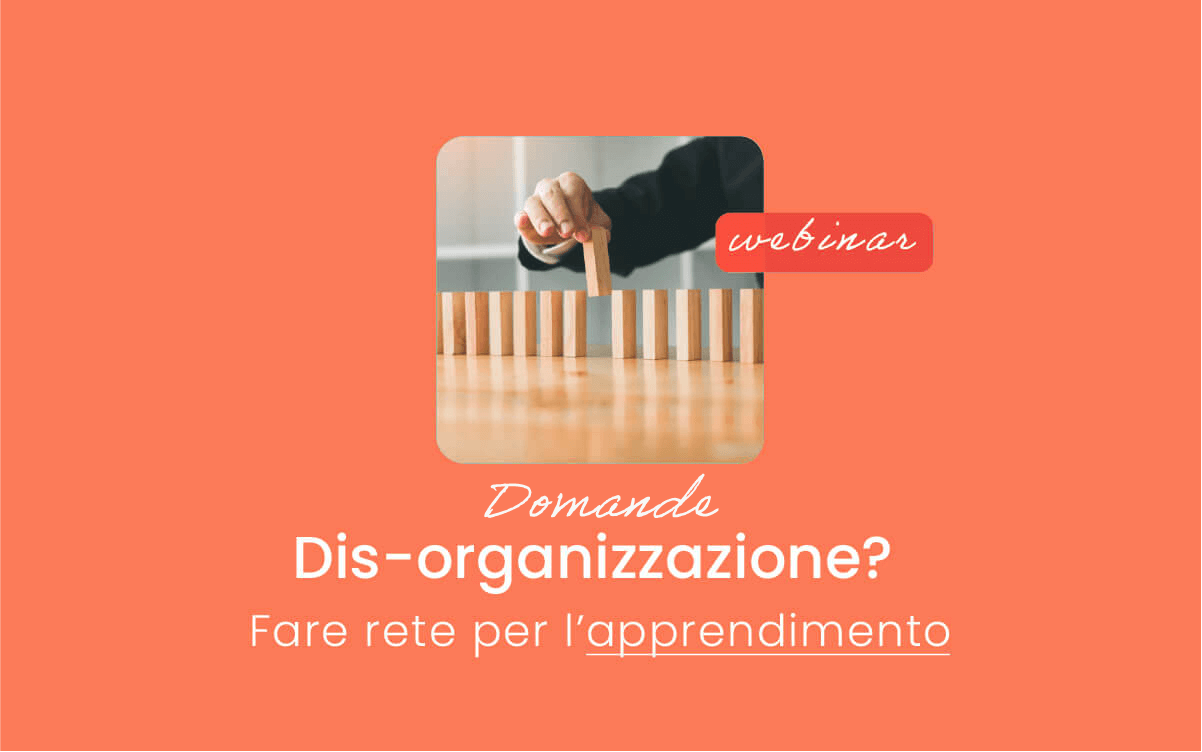 Disorganizzazione