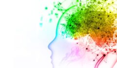 Articolo del blog sull'intelligenza umana