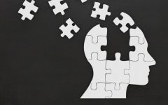 Articolo Memoria Di Lavoro E Dsa