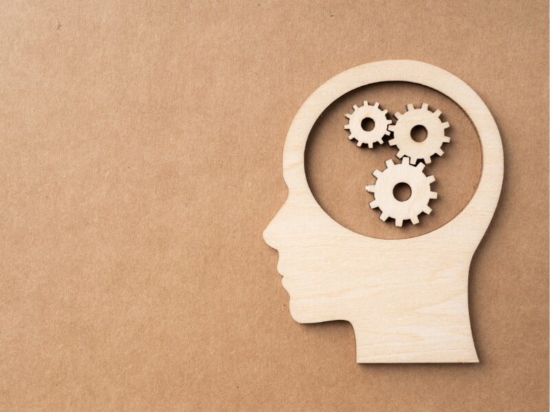 Sagoma di un volto umano di profilo, ritagliata in legno chiaro su sfondo beige. All'interno della testa, tre ingranaggi in legno interconnessi evocano il funzionamento della mente, i processi cognitivi o il pensiero.