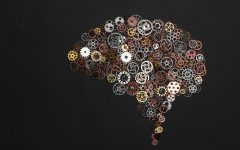 Articolo del blog sulle funzioni esecutive nell'età evolutiva