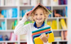 Articolo Comprensione Del Testo Articolo Comprensione Del Testo