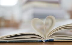 Articolo sulla comprensione del testo