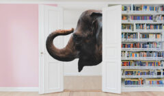 L'elefante nella stanza: metodo di studio universitario e mappe